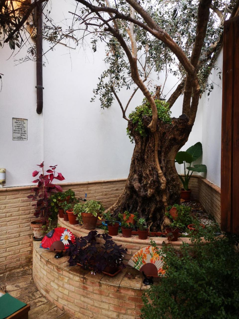 Hotel La Llave De La Juderia Boutique 3*